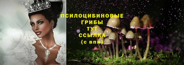 прущая мука Заводоуковск