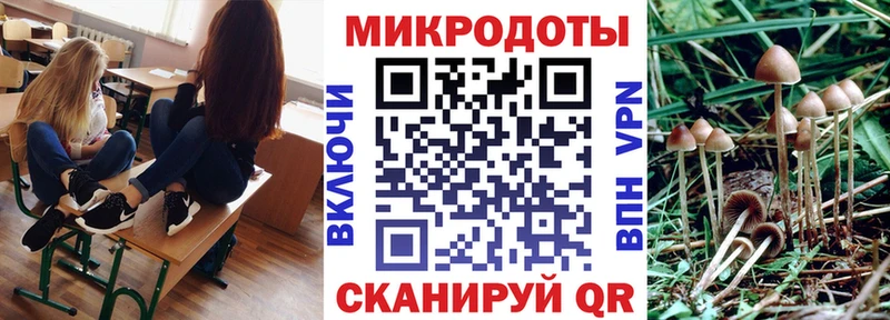 Галлюциногенные грибы MAGIC MUSHROOMS  как найти   Игра 