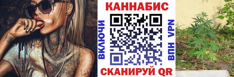 Каннабис семена  Игра 
